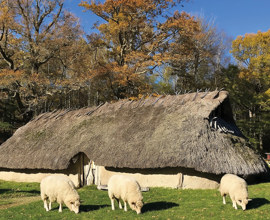 Sommar i Bronsåldersgården vid Vitlycke museum