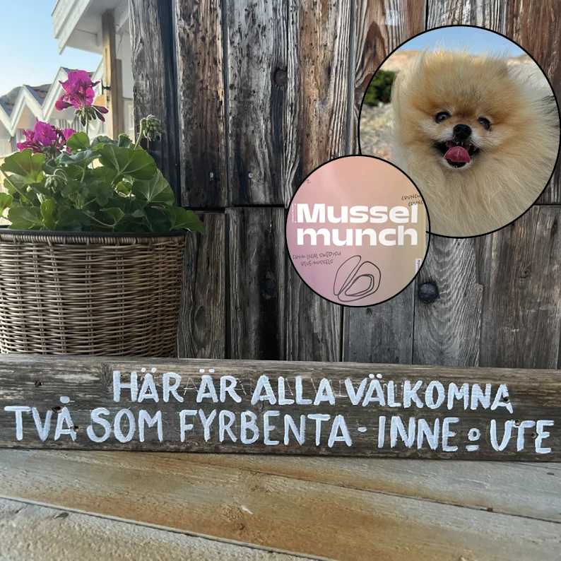 Välkommen, både tvåbenta och fyrbenta gäster!