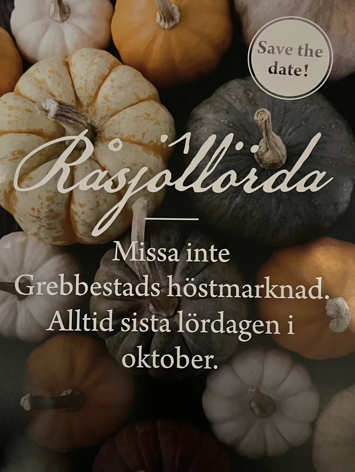 Råsjölördag i Grebbestad, en levande tradition