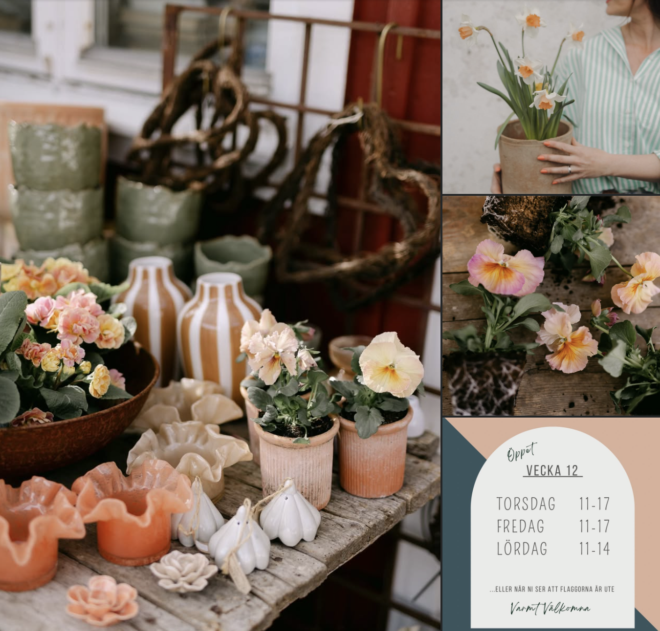 Våren spirar hos Kreativa Magasinet