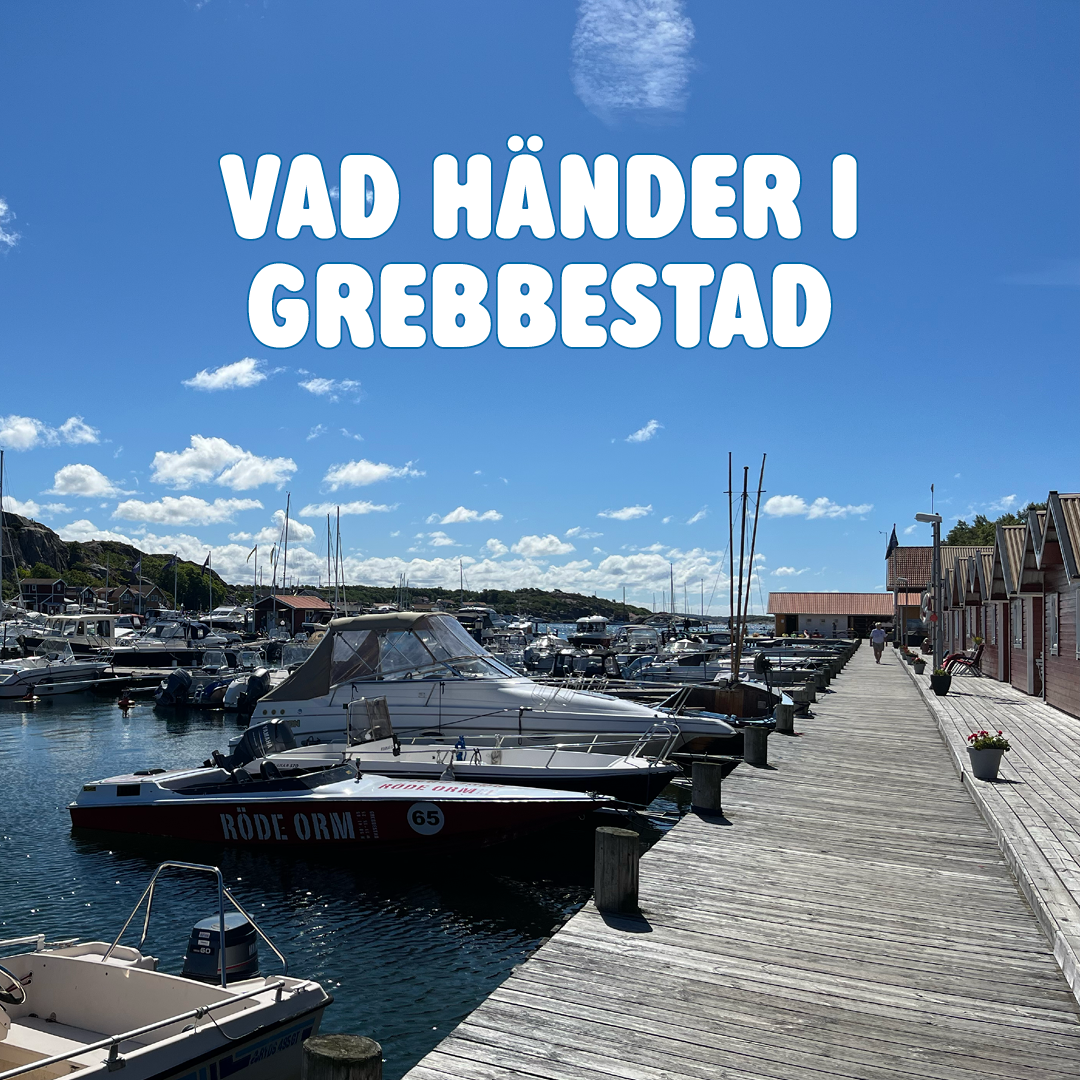 Vad händer i Grebbestad