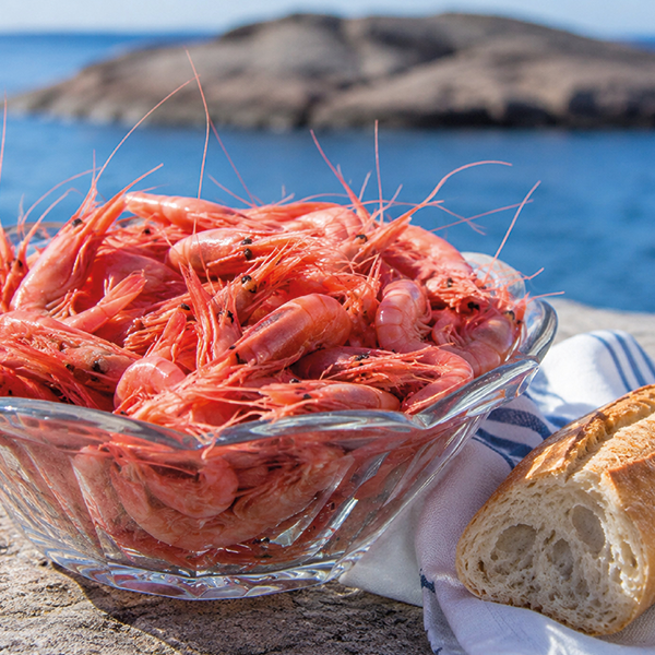 Räkor i lösvikt vid havet i Bohuslän